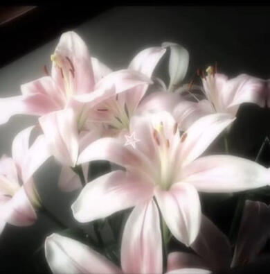 𝐏𝐔𝐑𝐄𝐅𝐔𝐋 𝐋𝐎𝐕𝐄♪